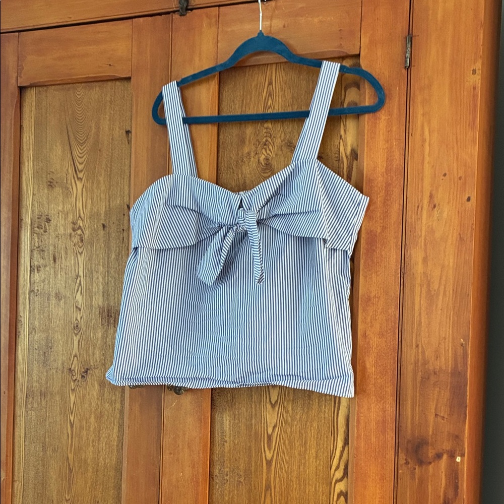 Blue Striped Women's Top